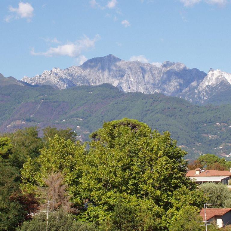 Hotel La Primula - Appartamento con 2 Camere da Letto e Balcone - 1