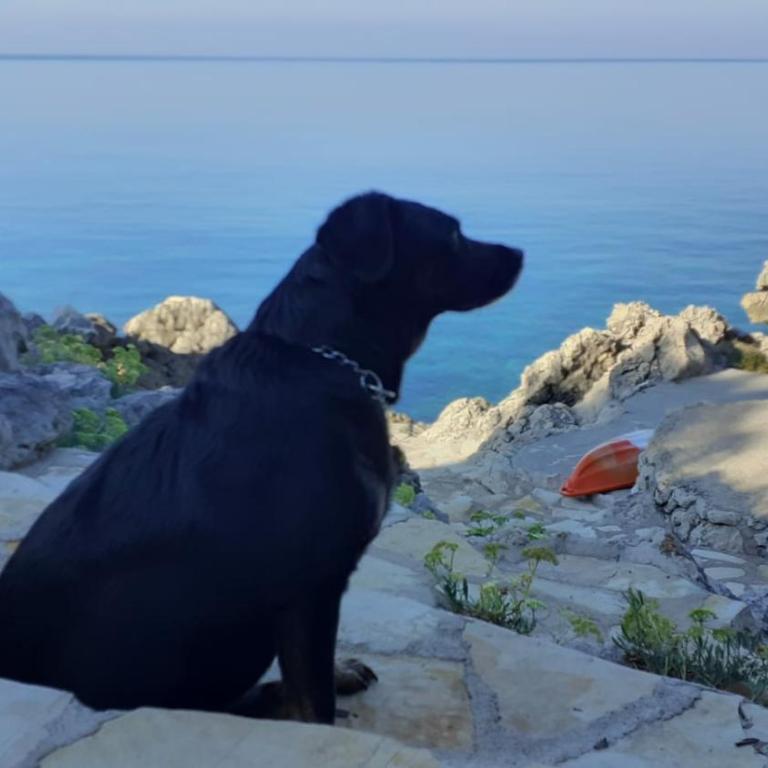 Family Seaside Holm Oak Villa with Private Rocky Beach - Villa - Beach Front - 22