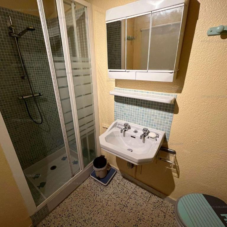 3LIB7 - appartement pour 3 personnes proche plage, au cœur du faubourg de Collioure - Apartment - Ground Floor - 8