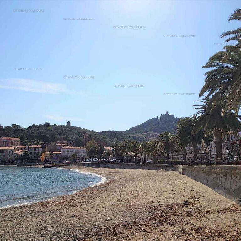 3LIB7 - appartement pour 3 personnes proche plage, au cœur du faubourg de Collioure - Apartment - Ground Floor - 11