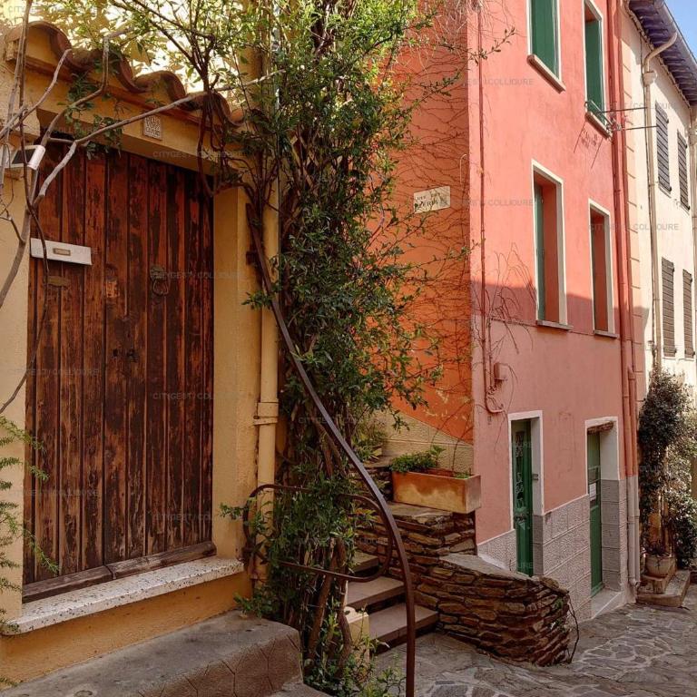3LIB7 - appartement pour 3 personnes proche plage, au cœur du faubourg de Collioure - Apartment - Ground Floor - 12