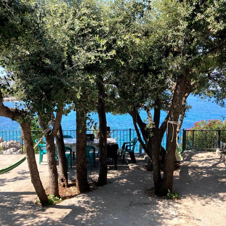 Family Seaside Holm Oak Villa with Private Rocky Beach - Villa - Beach Front - 17