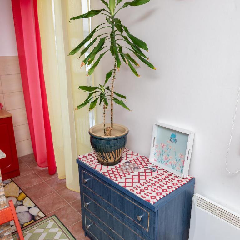 Apartman Pale - Apartment - 24