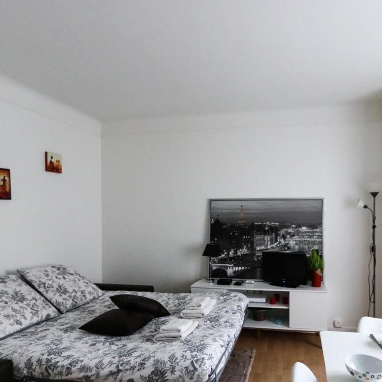 Paris 15eme - Porte de versailles - Vaugirard - Appartement 1 Chambre - 6