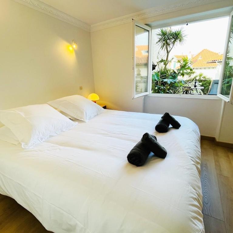 Biarritz hyper centre - Halles - terrasse - Apartment with Terrace - 3