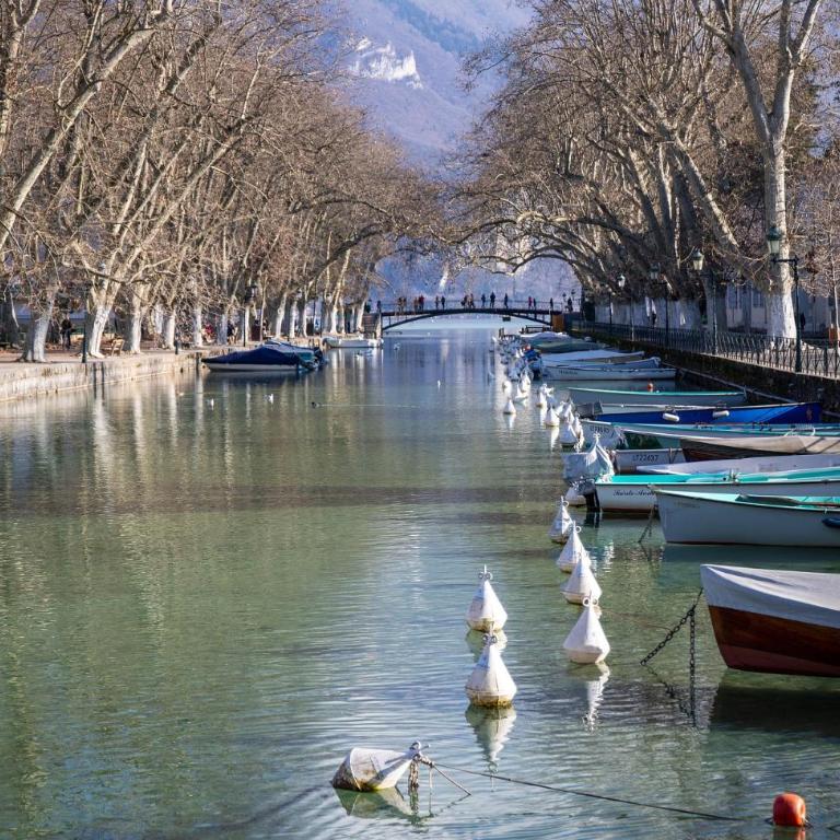 Studio 2 personnes - lumineux - Lac d'Annecy - Appartement 1 Chambre - 17