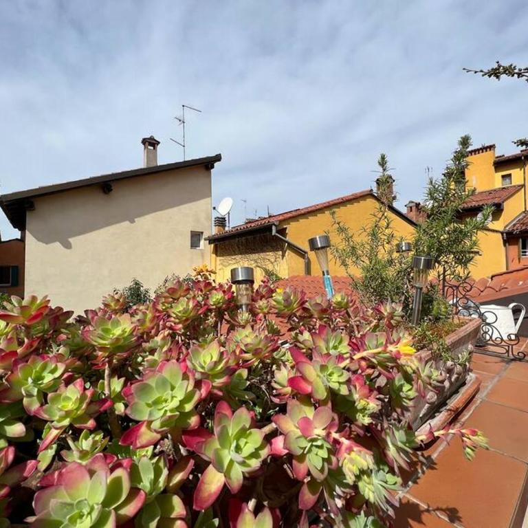 Margherita Apartment w/ terrace - One-Bedroom Apartment - 13