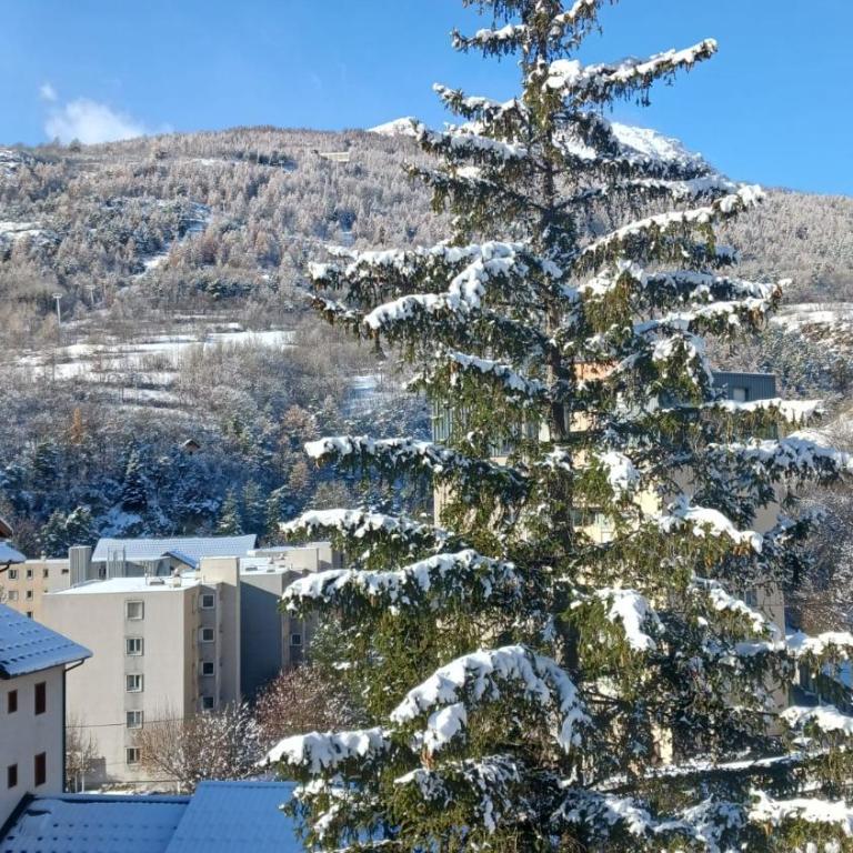 Coquet appartement Type 2 de 56 m² en centre ville - Appartement 1 Chambre - 2