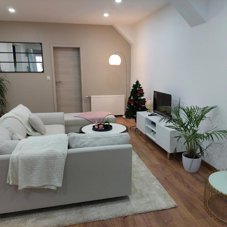 Le Bag Centre ville - Appartamento con 3 Camere da Letto - 20