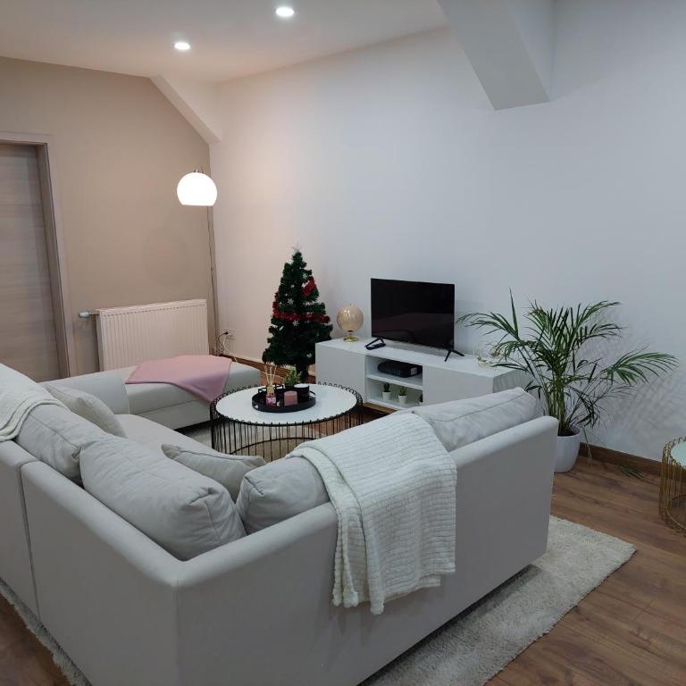 Le Bag Centre ville - Appartamento con 3 Camere da Letto - 11