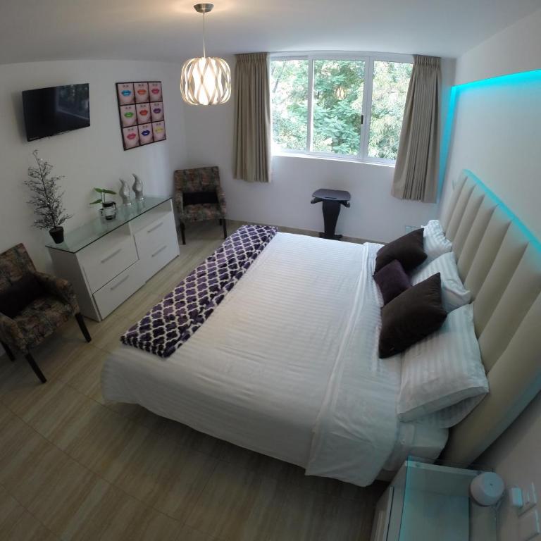 Condesa 185 - Habitación Deluxe con cama extragrande - 2