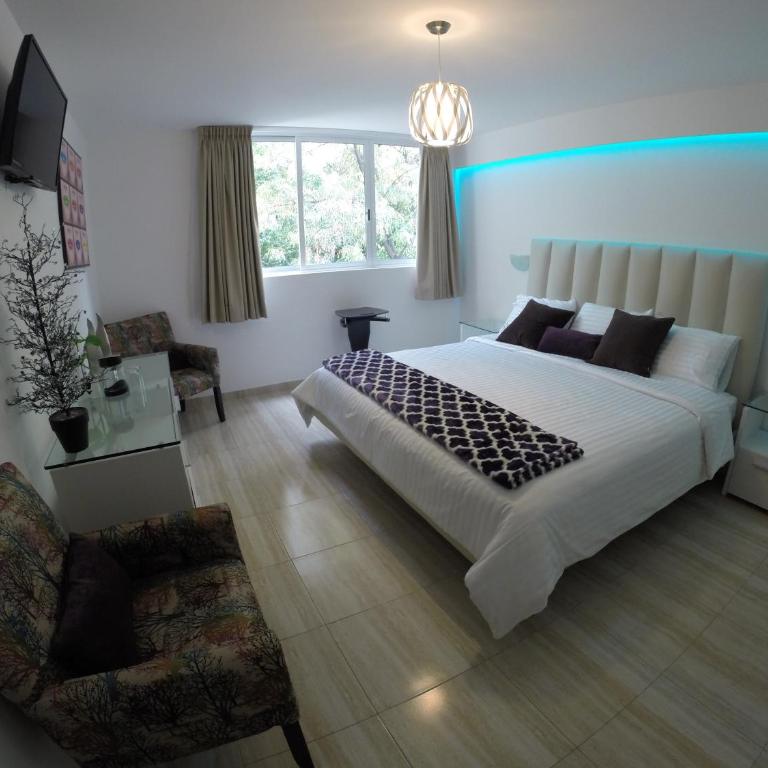 Condesa 185 - Habitación Deluxe con cama extragrande - 3