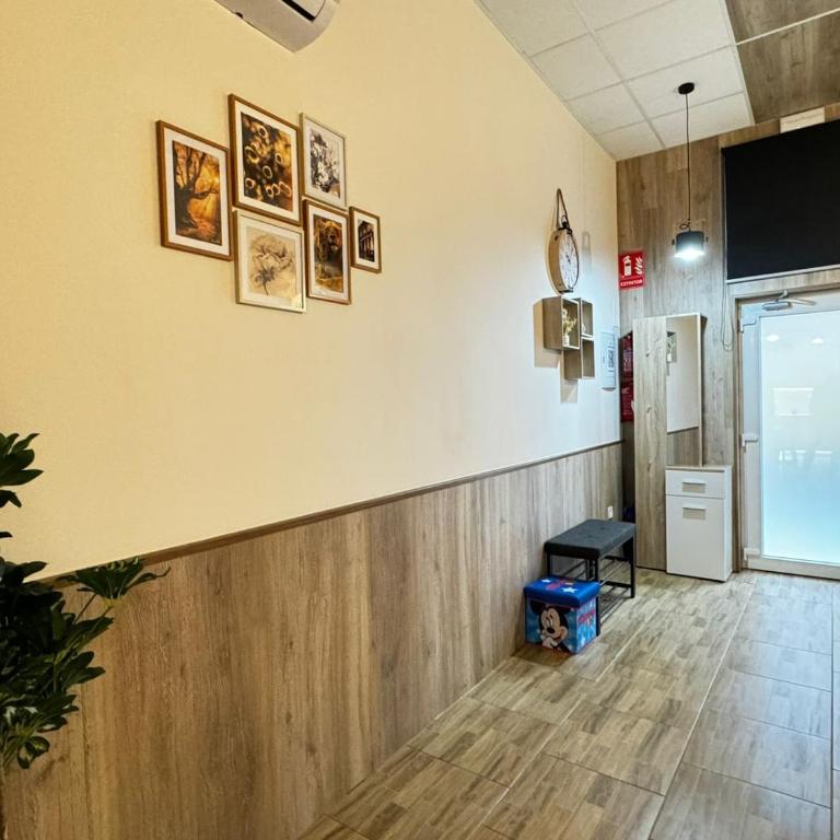 Salom 5 - One-Bedroom Apartment - 12