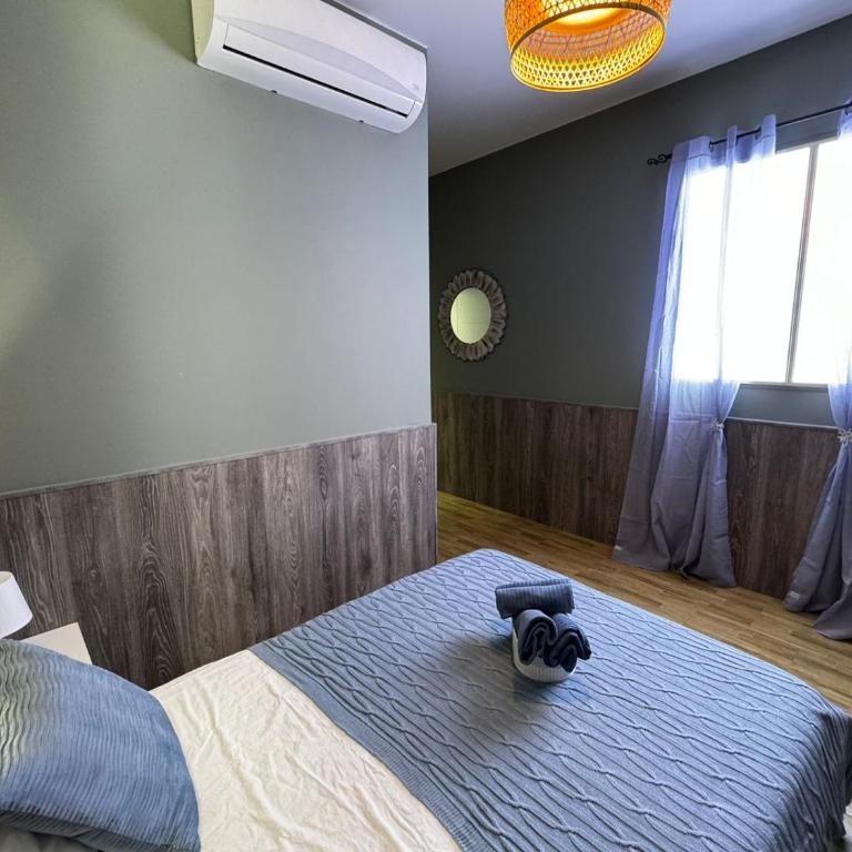 Salom 5 - One-Bedroom Apartment - 1