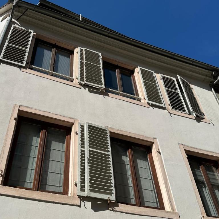Beautiful Studio in Strasbourg Old Town - Estudio - 10