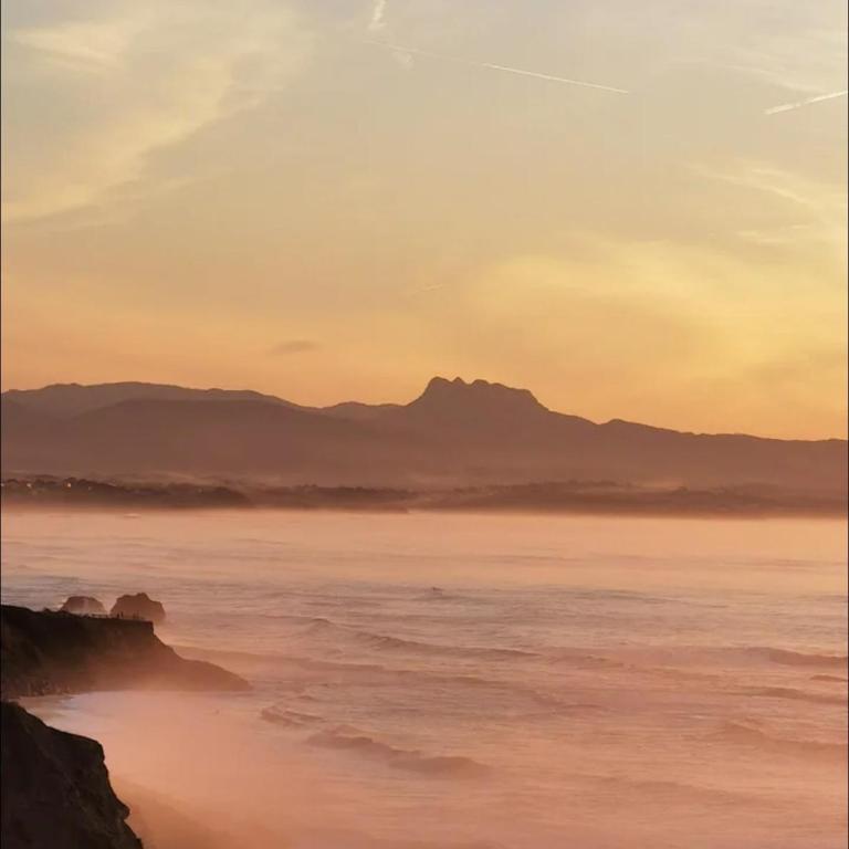 Biarritz Beaurivage - Cote des Basques - Triplex - Appartement avec Terrasse - 12