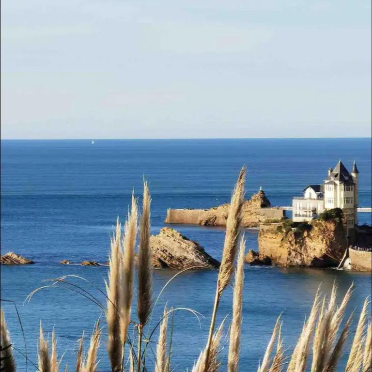 Biarritz Beaurivage - Cote des Basques - Triplex - Appartement avec Terrasse - 6