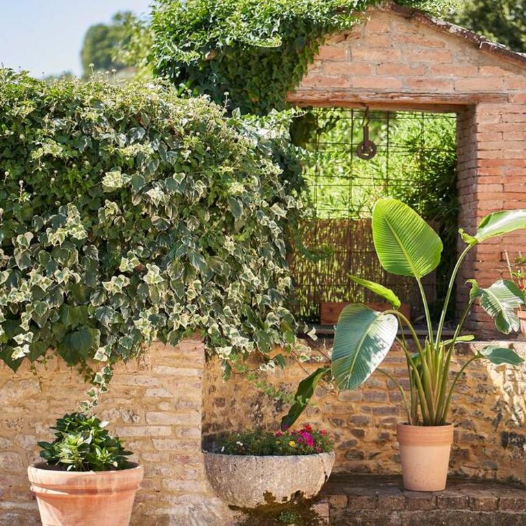 La Limonaia Country House - Appartamento con 1 Camera da Letto - 17