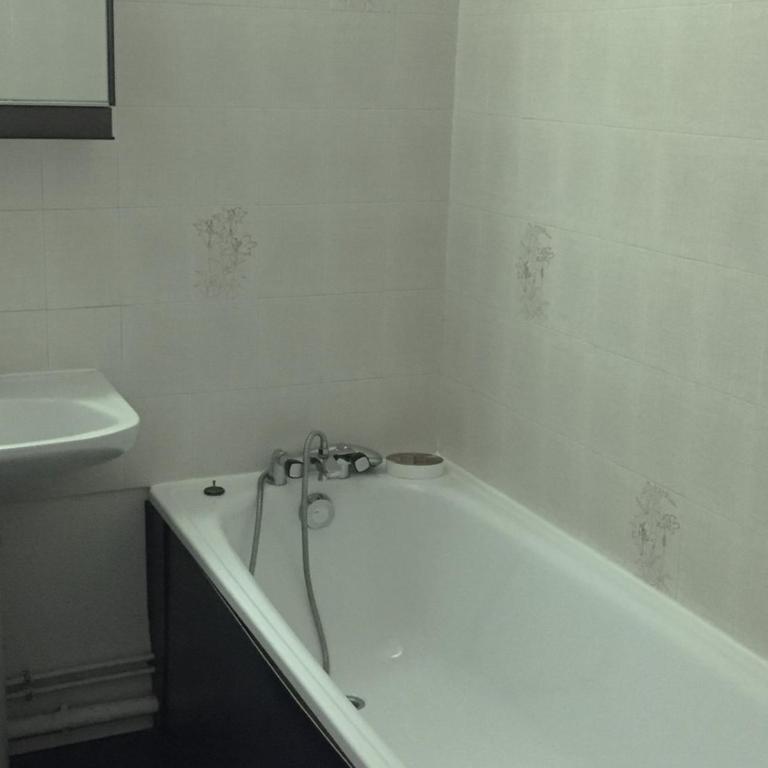 Bel appartement rénové à Chamonix avec vue sur le Mont-Blanc, parking et animaux admis - FR-1-517-51 - Studio - 9