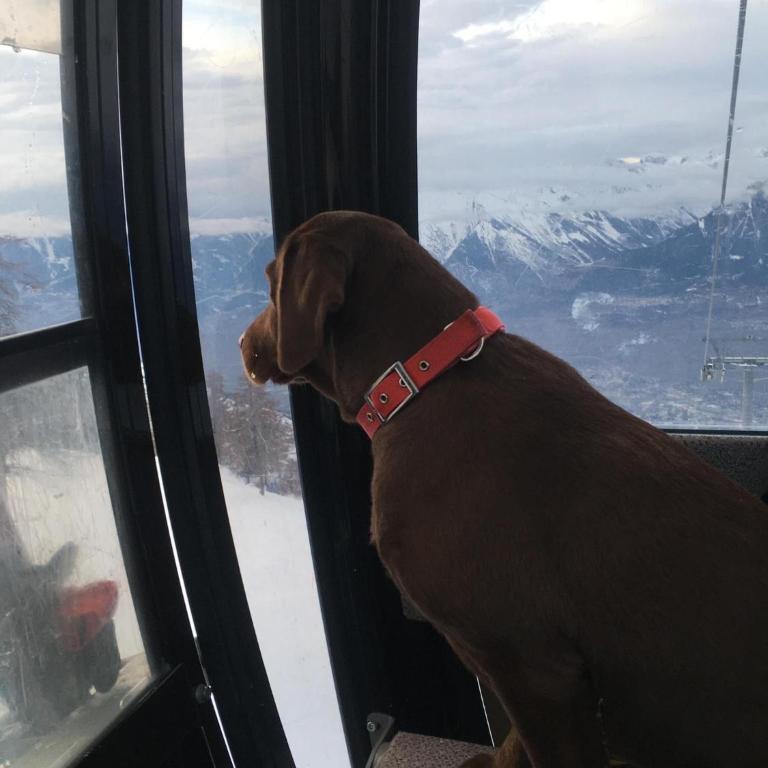 Chalet Crans-Montana - Appartement 1 Chambre - 15