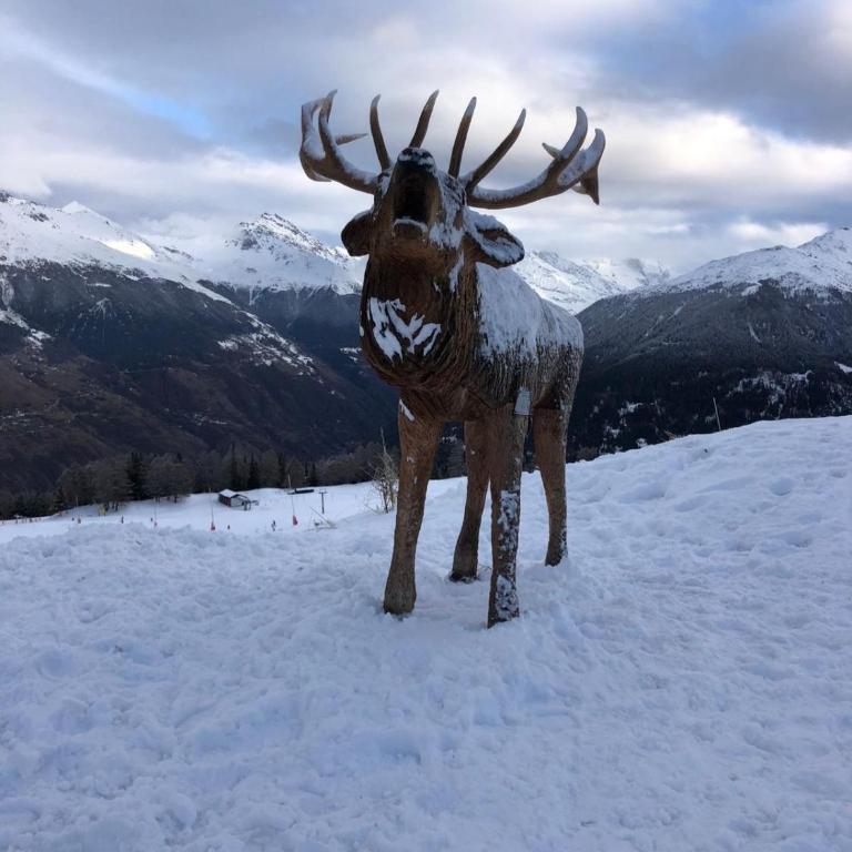 Chalet Crans-Montana - Appartement 1 Chambre - 4