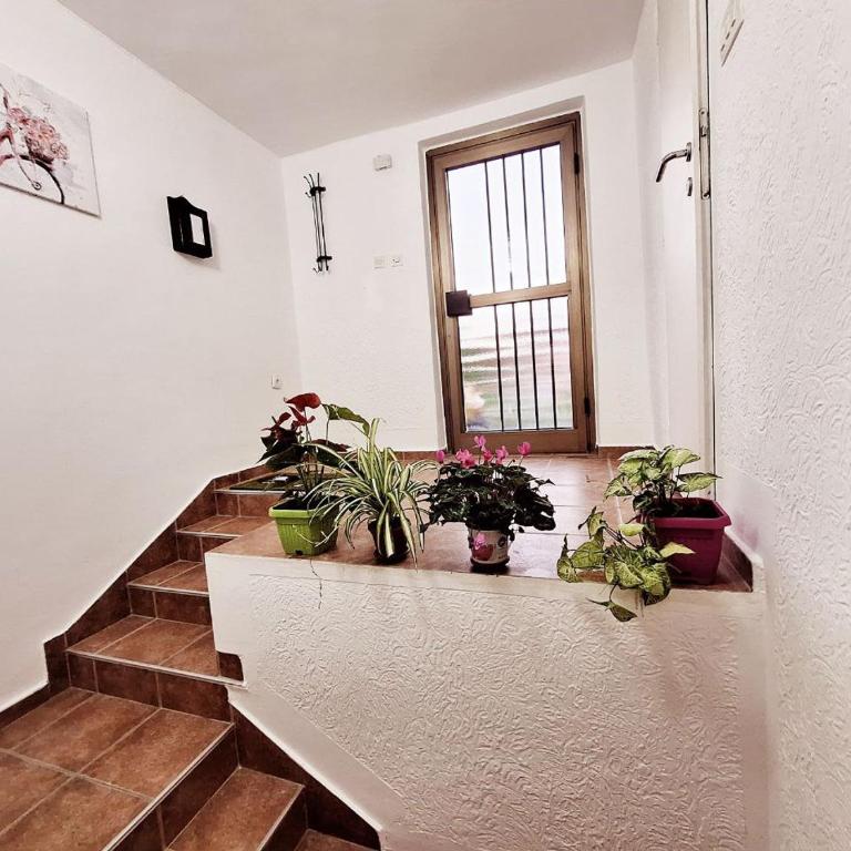 Melody apartment - One-Bedroom Apartment - 14
