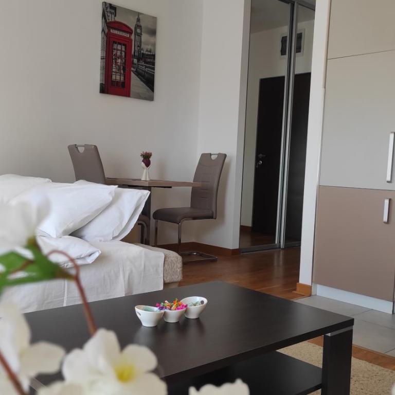 Allurian Apartment - City kvart - One-Bedroom Apartment - 5