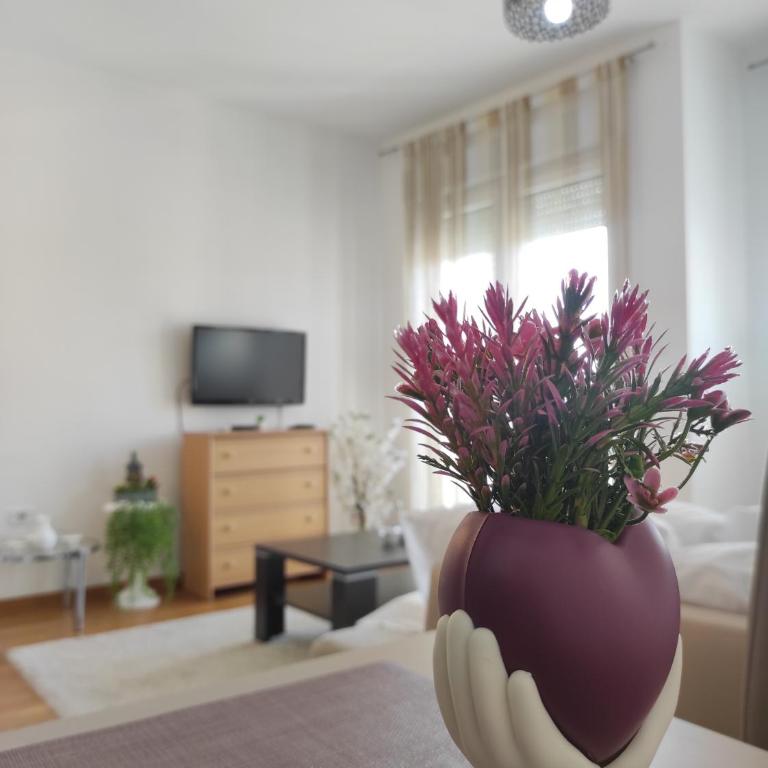 Allurian Apartment - City kvart - One-Bedroom Apartment - 1