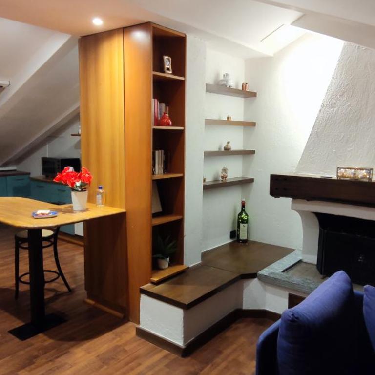 Loft Mansardato - Appartement 1 Chambre - 47