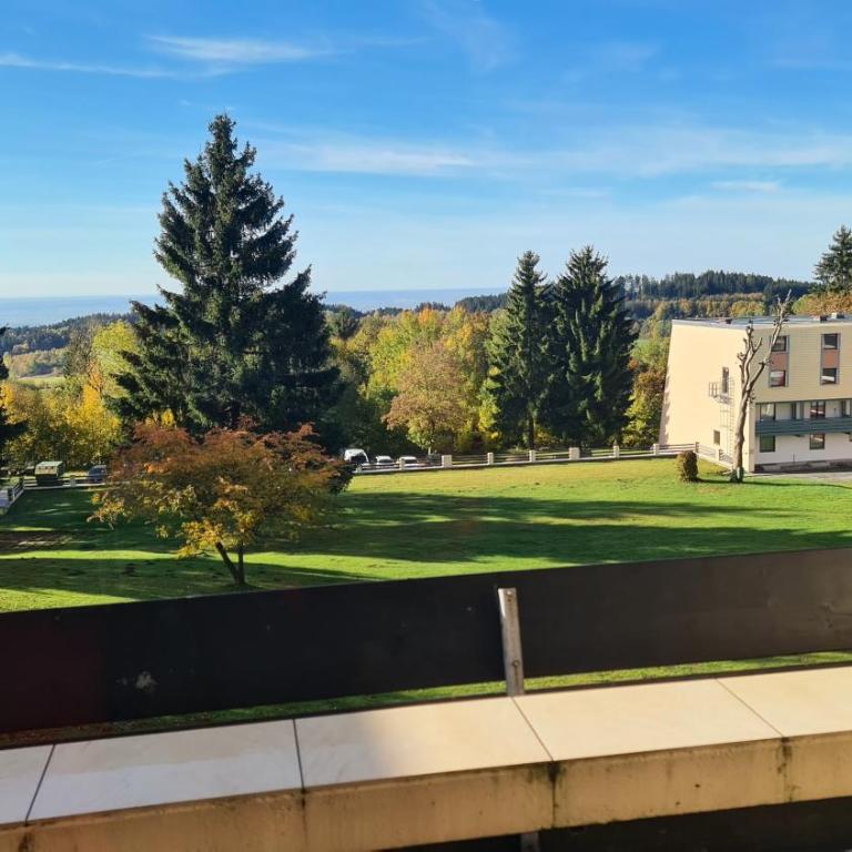 Schöne Ferienwohnung im Bayerischen Wald - Apartment mit 1 Schlafzimmer - 19