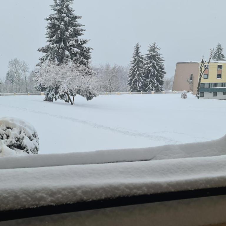 Schöne Ferienwohnung im Herzen des Bayerischen Wald - Apartment mit 1 Schlafzimmer - 19