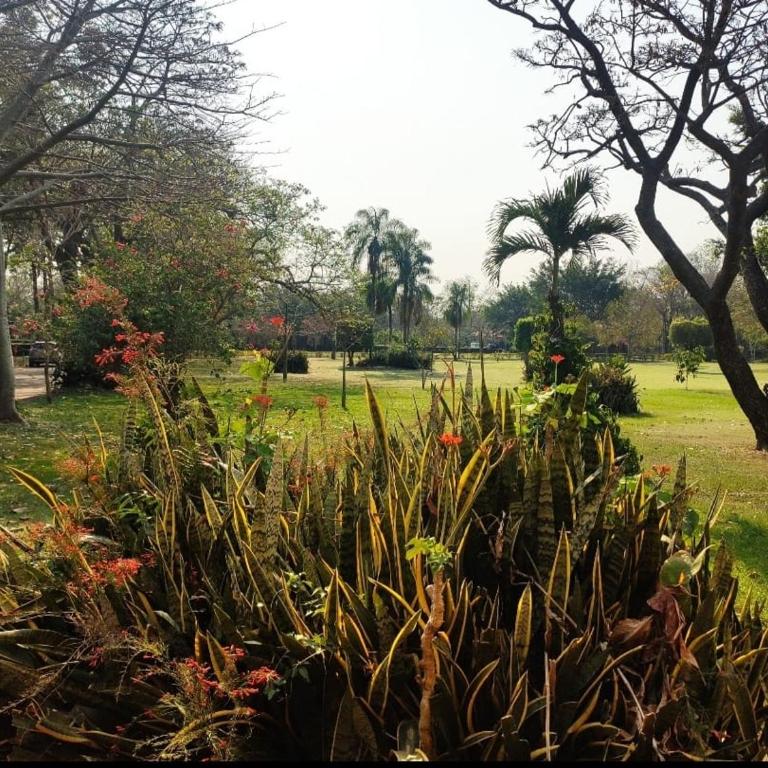 Casa JARDIN I - Casa con 1 dormitorio - 3