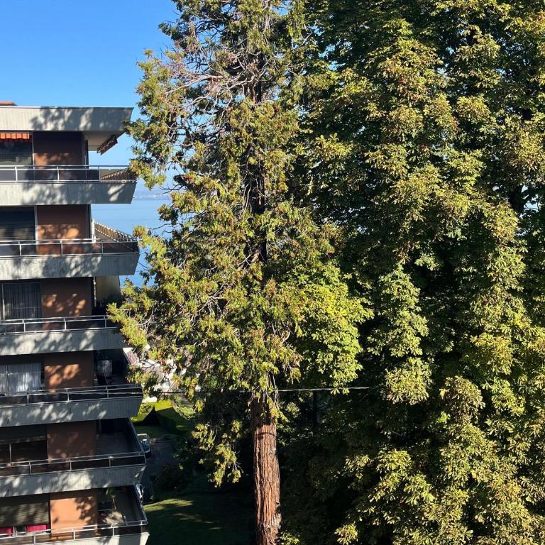 Charmant appartement proche du lac avec Wi-Fi et parking à Évian-les-Bains - Apartment mit 2 Schlafzimmern - 8