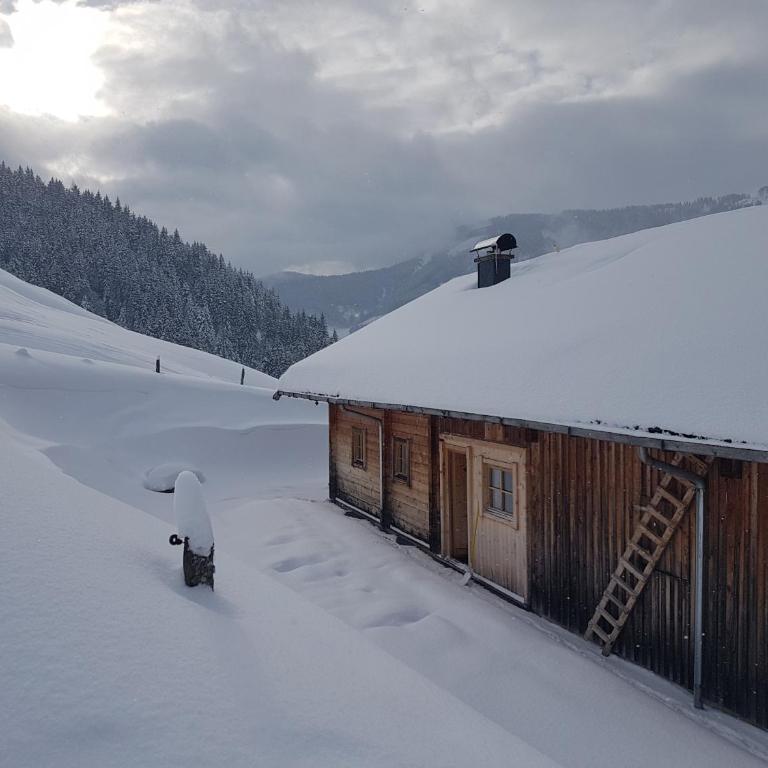 Selbstversorgerhütte Nösslau Alm - Casa con 5 Camere da Letto - 32