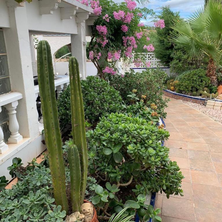 Spanish Villa with private pool - Three-Bedroom Villa - 30