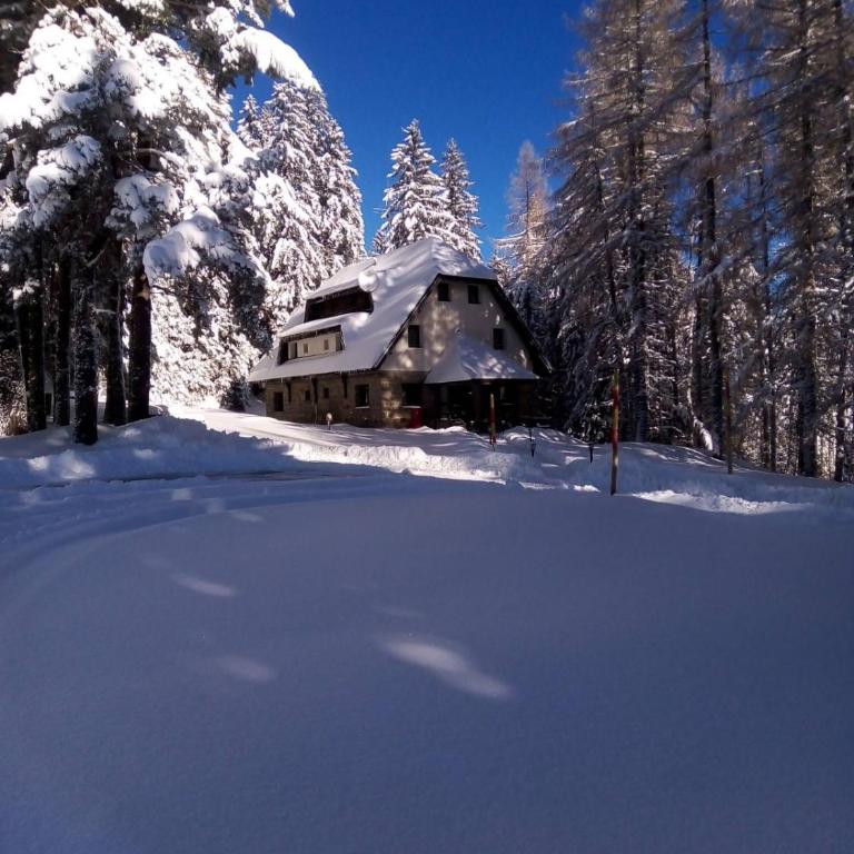 Studios Šumska Kuća 1 - Studio - 2