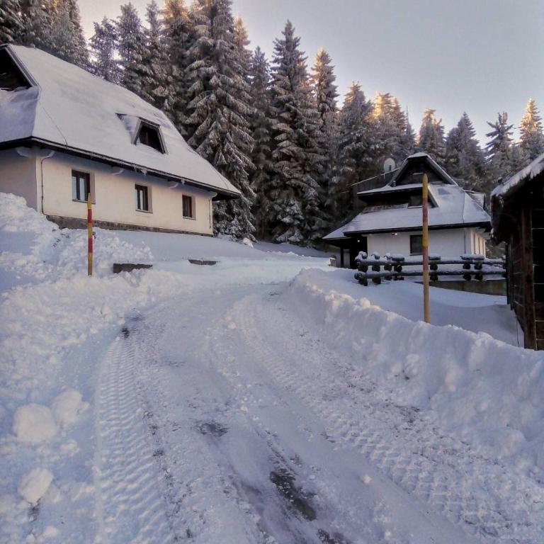 Studios Šumska Kuća 1 - Studio - 36