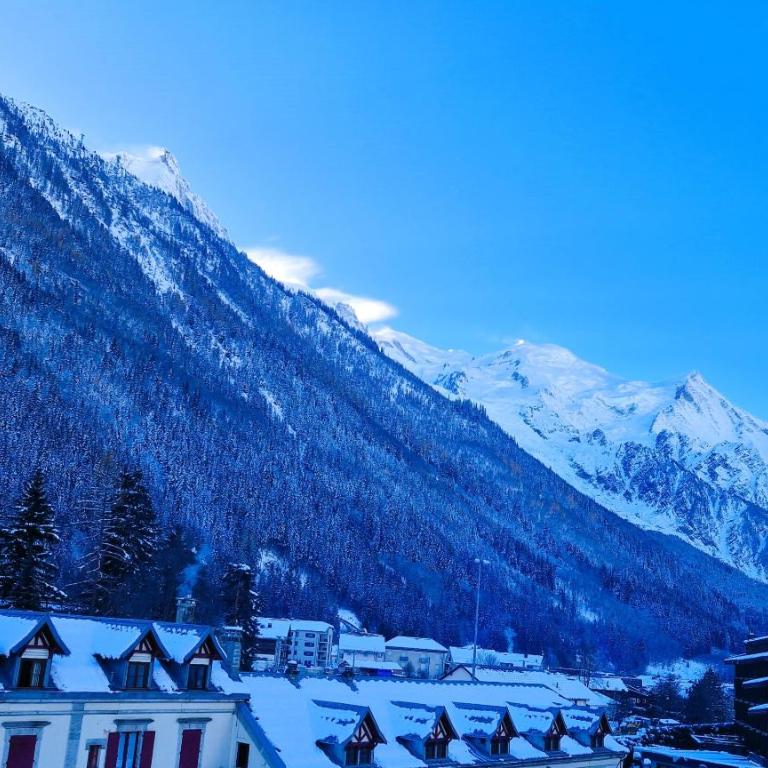 Appartement Chamonix Centre - Vue Mont Blanc - Appartement 2 Chambres avec Vue sur la Montagne - 12