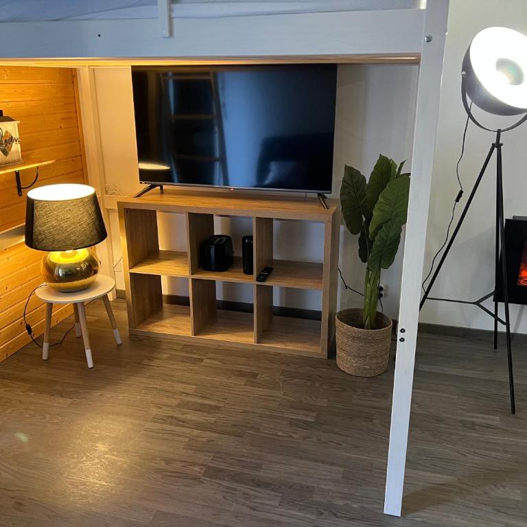 STUDIO LES IZARDS - One-Bedroom Apartment - 6