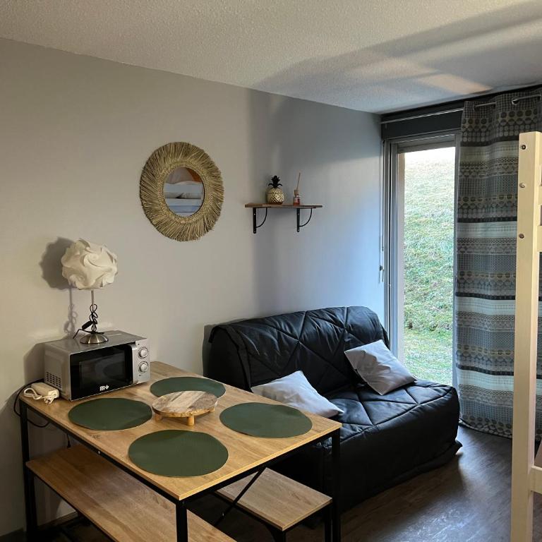 STUDIO LES IZARDS - One-Bedroom Apartment - 8