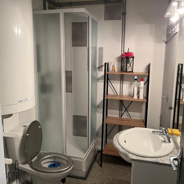 STUDIO LES IZARDS - One-Bedroom Apartment - 10