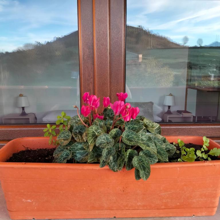 PicuAstur - Casa de 2 dormitorios - 26