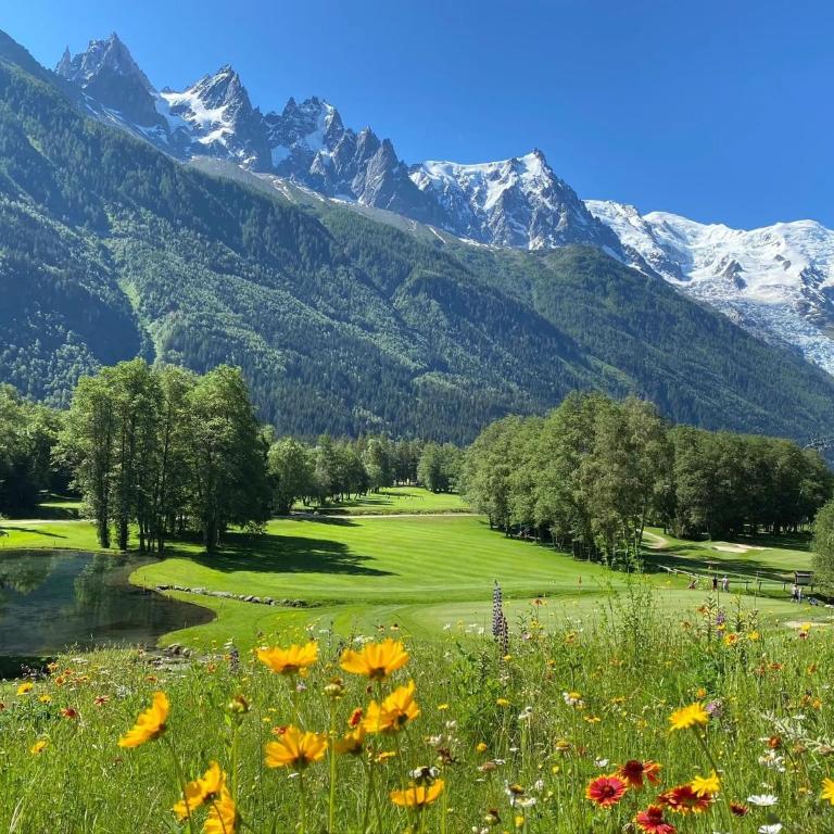 Clos des Vorgeats - Duplex Beside Golf Course - Patio - UTMB - Three-Bedroom Chalet - 16