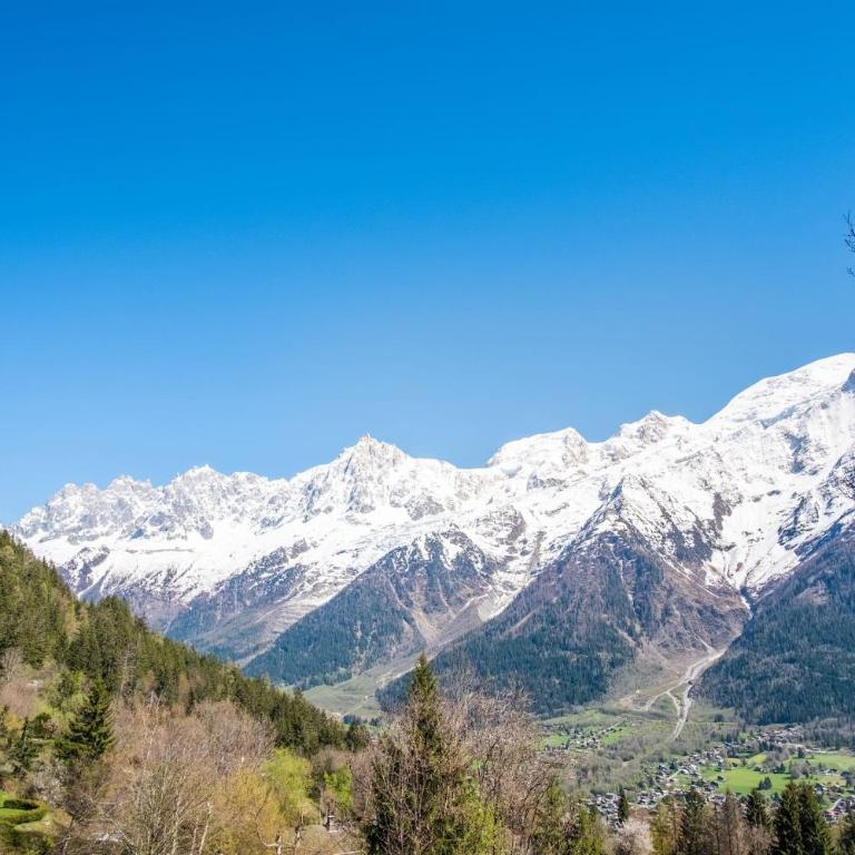 Datcha of Sky -Jardin - Calme - 180 vues - 9 chambres & Studio Appt - Chalet - 45