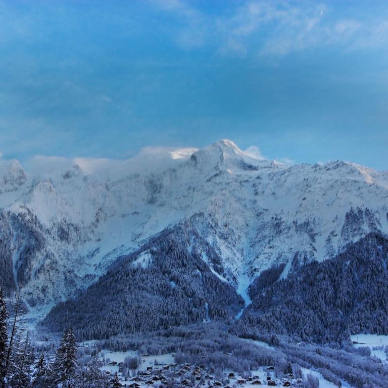 Datcha of Sky -Jardin - Calme - 180 vues - 9 chambres & Studio Appt - Chalet - 20