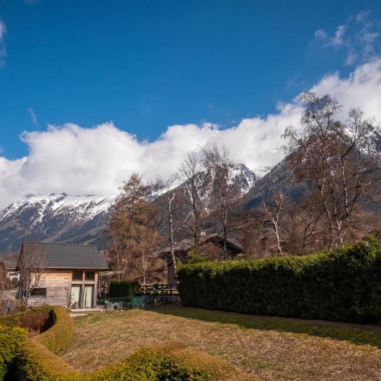 Kinabalu - Vue Mt Blanc Range Les houches center - Appartement 2 Chambres - 27