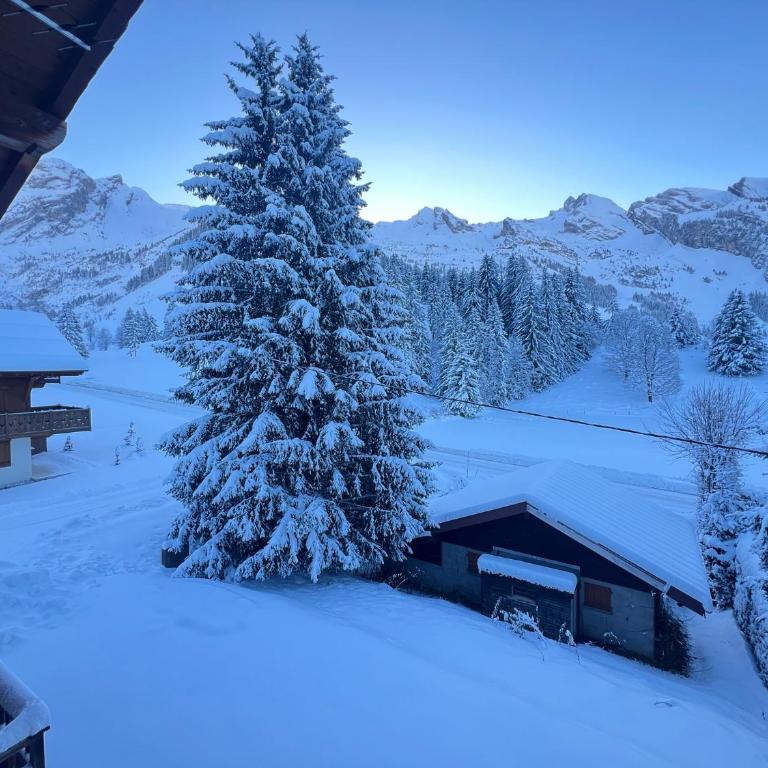 PATURAGE Demi chalet 4 chambres - Chalet Superior - 17