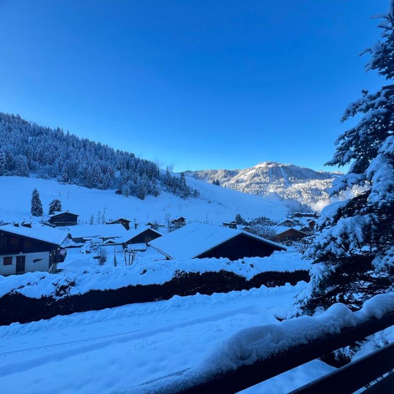 Abricot - Appart dans chalet - Appartement avec Terrasse - 4