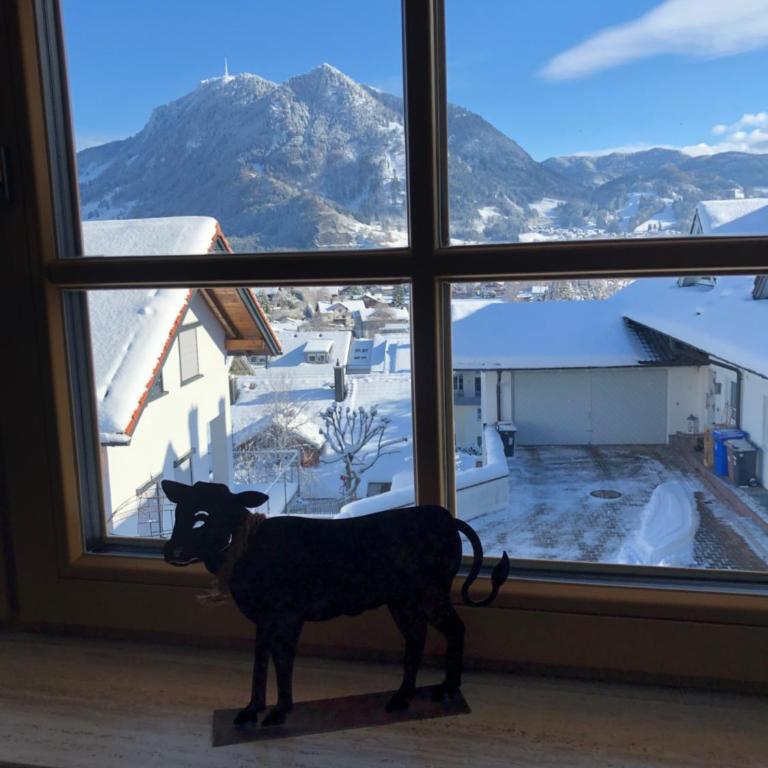 Nagelfluh Hüs - Apartment mit Blick auf die Berge - 29