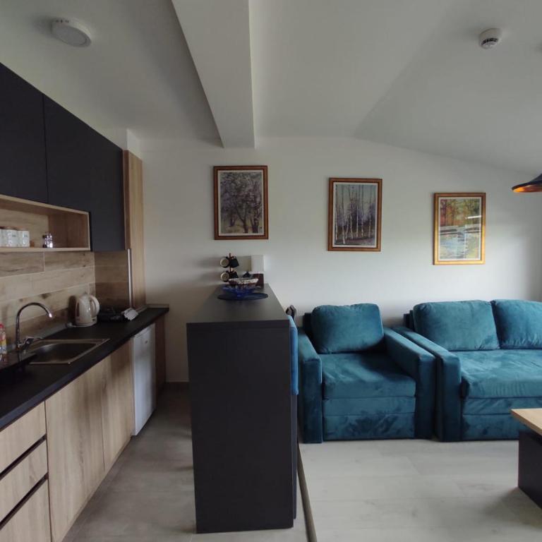 Apartman N99 Milmari Kopaonik - One-Bedroom Apartment - 3
